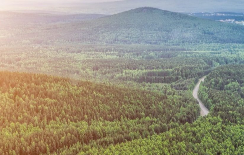 Forestry Software Solution (Finland) screenshot 1